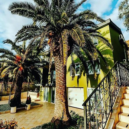 Petrovac Palm Point Apartment מראה חיצוני תמונה