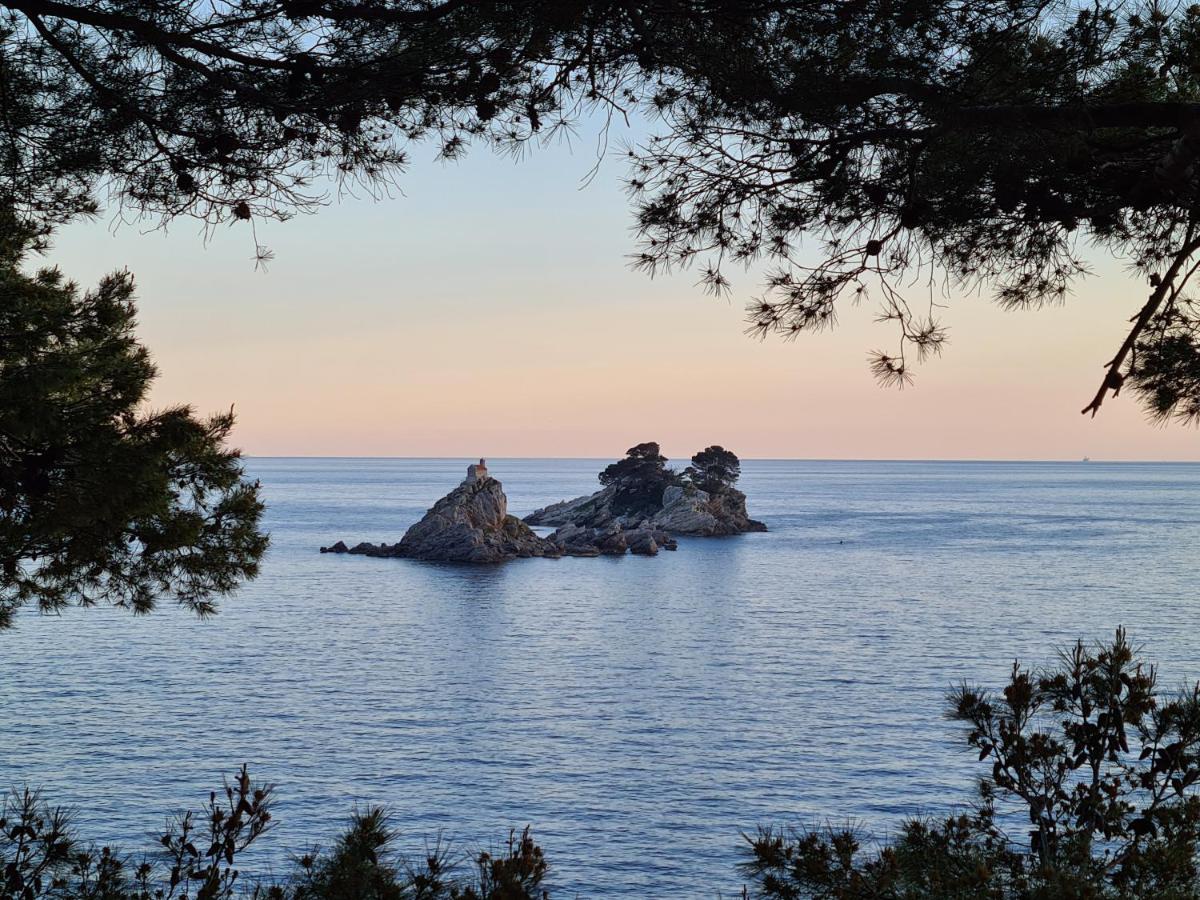 Petrovac Palm Point Apartment מראה חיצוני תמונה