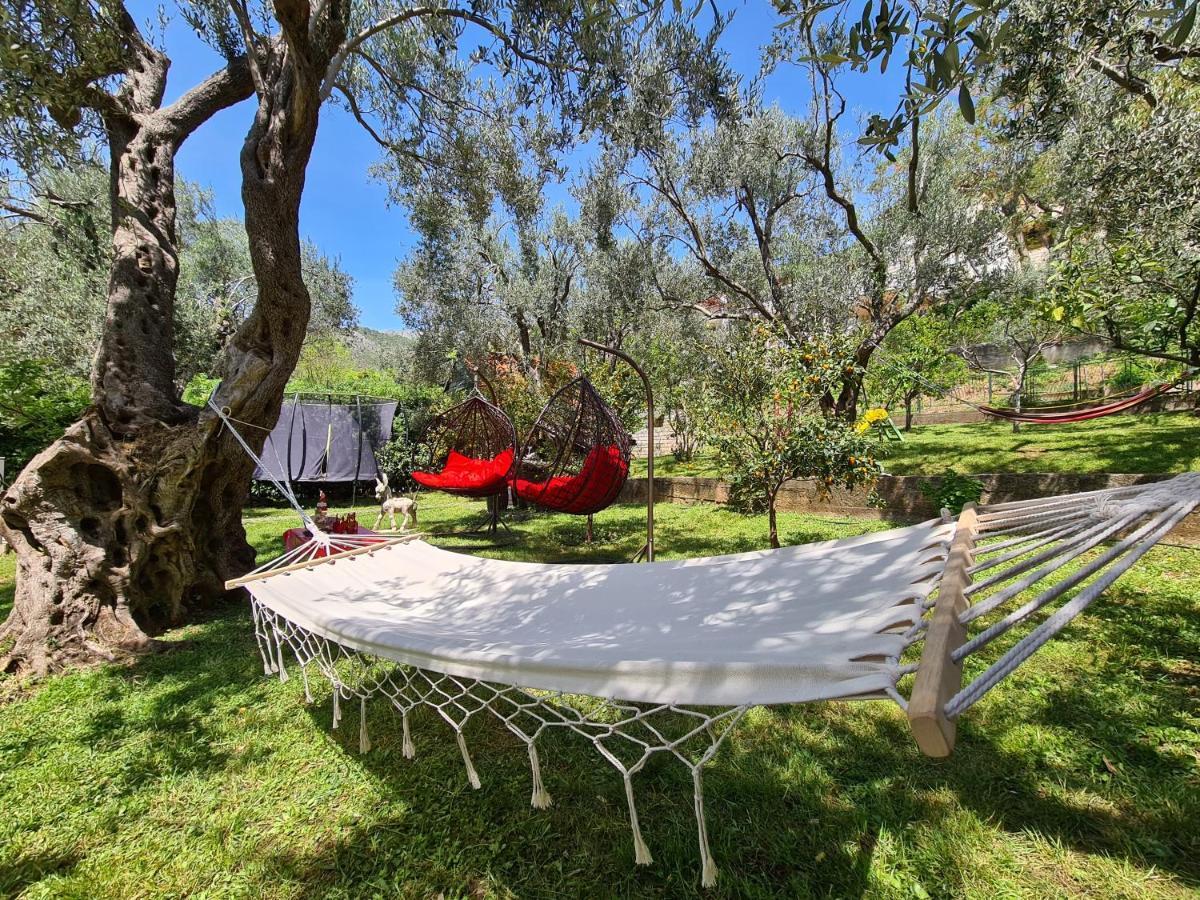 Petrovac Palm Point Apartment מראה חיצוני תמונה