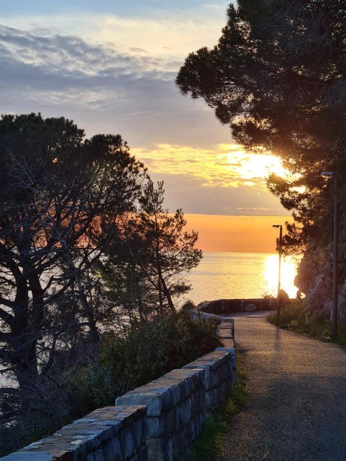 Petrovac Palm Point Apartment מראה חיצוני תמונה