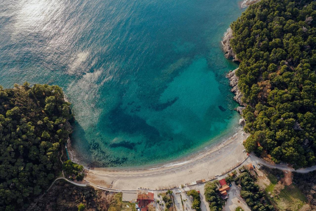 Petrovac Palm Point Apartment מראה חיצוני תמונה